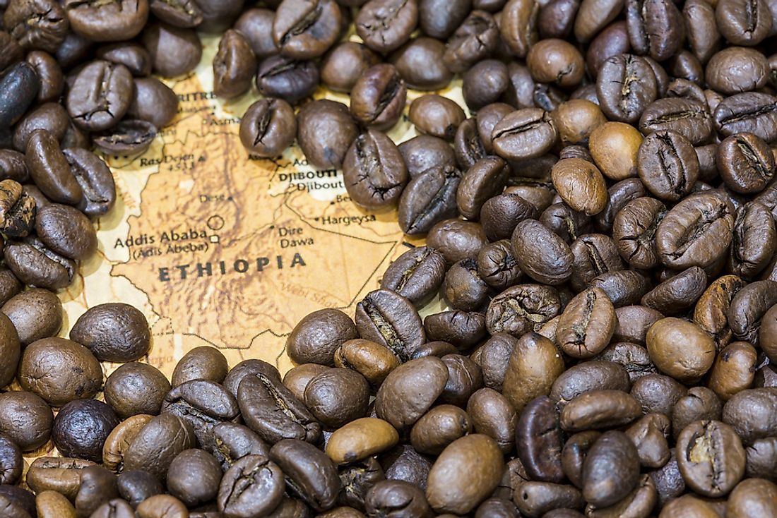 Ethiopian coffee prepared for export