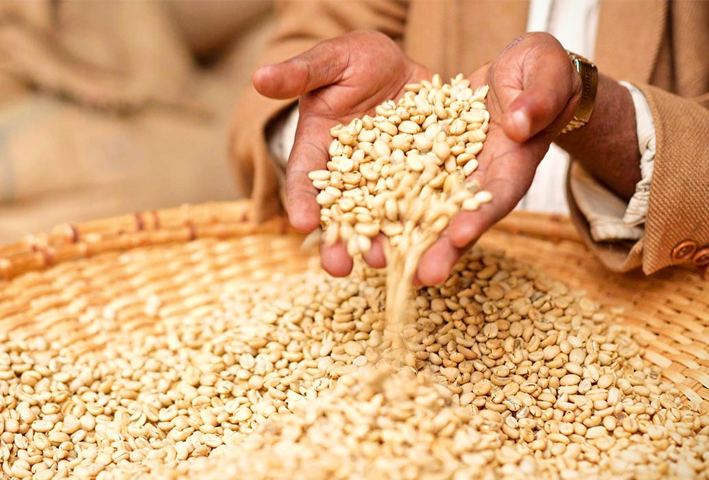 Ethiopian coffee beans